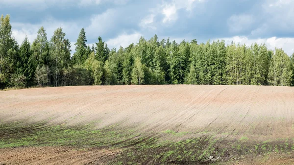 Frisch bestelltes Feld im Herbst — Stockfoto