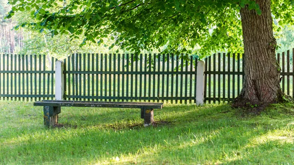 Bench in  beautiful park in autumn — Stock Photo, Image