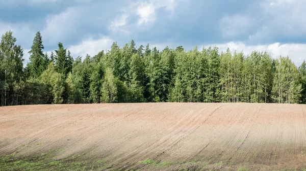 Świeży uprawianym polu jesienią — Zdjęcie stockowe