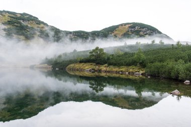Yatay, dağlar, ağaçlar ve Nehri ön
