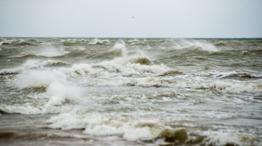 bulutlar ve ıssız dune doğru dalgalar ile sonbaharda Baltık beach
