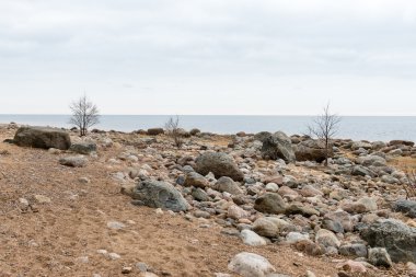 Kayalık sonbahar plaj dalgalar kayalar çökmesini ile