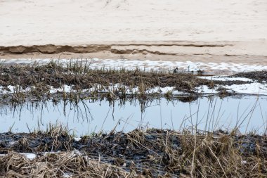 Kayalık sonbahar plaj dalgalar kayalar çökmesini ile