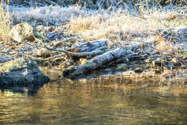 Yatay, dağlar, ağaçlar ve Nehri ön