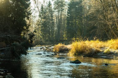Yatay, dağlar, ağaçlar ve Nehri ön