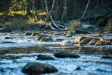Yatay, dağlar, ağaçlar ve Nehri ön