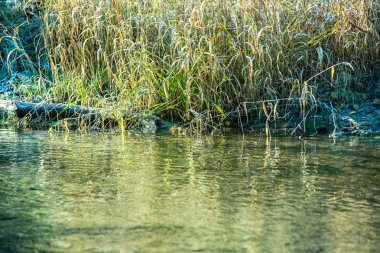 Yatay, dağlar, ağaçlar ve Nehri ön