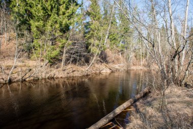 Kışın donmuş nehir