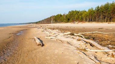 Sahilde (seçici odak oturum)