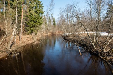Kışın donmuş nehir