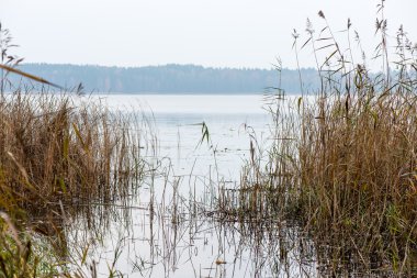 Yatay, dağlar, ağaçlar ve Nehri ön