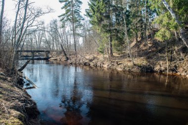 Kışın donmuş nehir