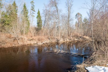 Kışın donmuş nehir