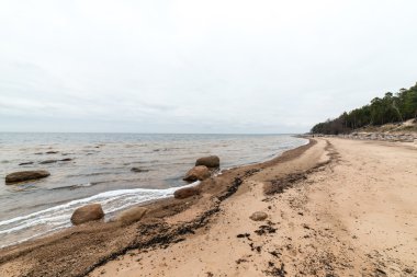 Kayalık sonbahar plaj dalgalar kayalar çökmesini ile