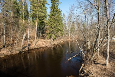 Kışın donmuş nehir