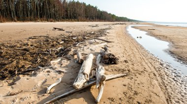 Sahilde (seçici odak oturum)