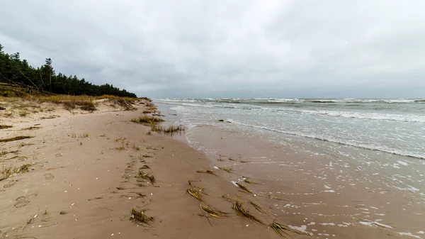 Παραλία της Βαλτικής φθινόπωρο με τα σύννεφα και τα κύματα προς την έρημη αμμόλοφος — Φωτογραφία Αρχείου