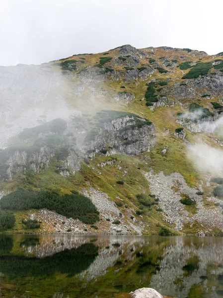 与山树景观和一条河在前面 — 图库照片