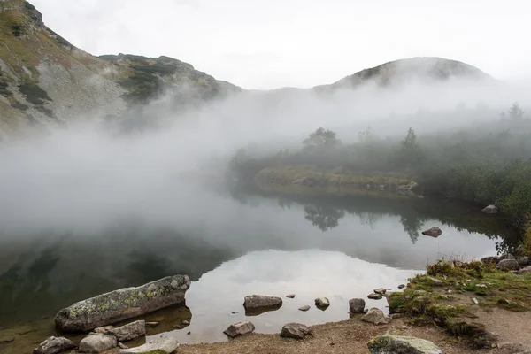 Krajina se stromy hory a řeky vpředu — Stock fotografie