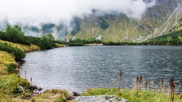 Paesaggio con alberi di montagna e un fiume di fronte — Foto Stock