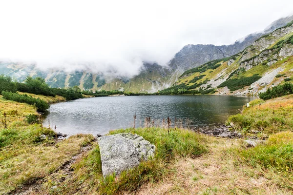 Landschap met bergen bomen en een rivier aan de voorkant — Stockfoto