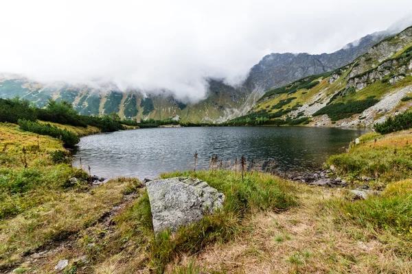 Paesaggio con alberi di montagna e un fiume di fronte — Foto Stock