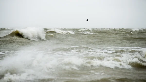 Praia baltic no outono com nuvens e ondas para a duna deserta — Fotografia de Stock