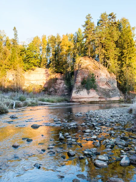 Landscape with mountains trees and a river in front — Stock Photo, Image