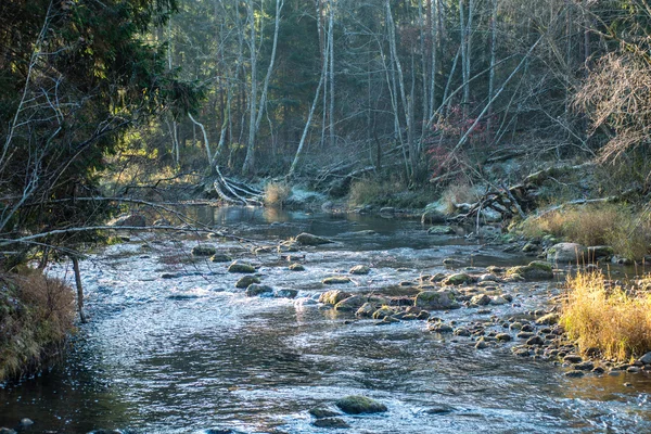 Paisagem com árvores de montanhas e um rio em frente — Fotografia de Stock