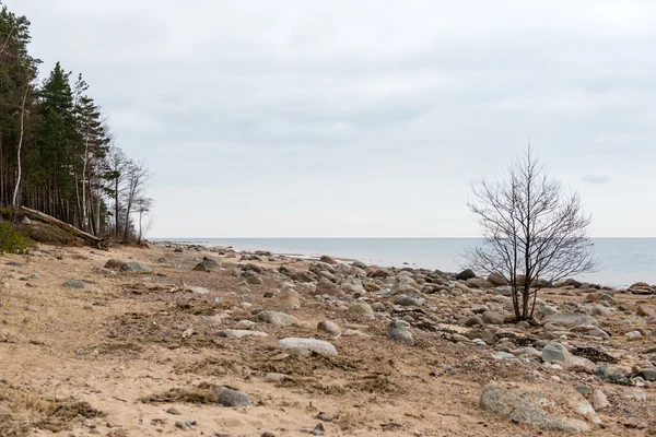 Rotsachtige herfst strand met golven op de rotsen — Stockfoto