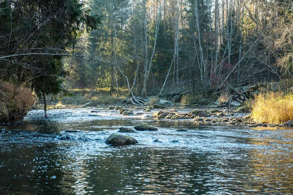 Krajina se stromy hory a řeky vpředu — Stock fotografie