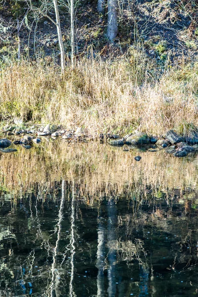 Paisaje con árboles de montaña y un río en frente — Foto de Stock