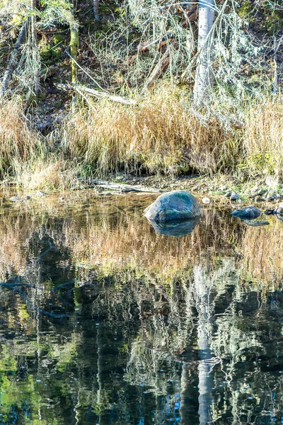 Paysage avec des arbres de montagne et une rivière en face — Photo