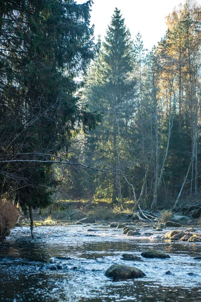 山の木々 の風景を前部の川 — ストック写真