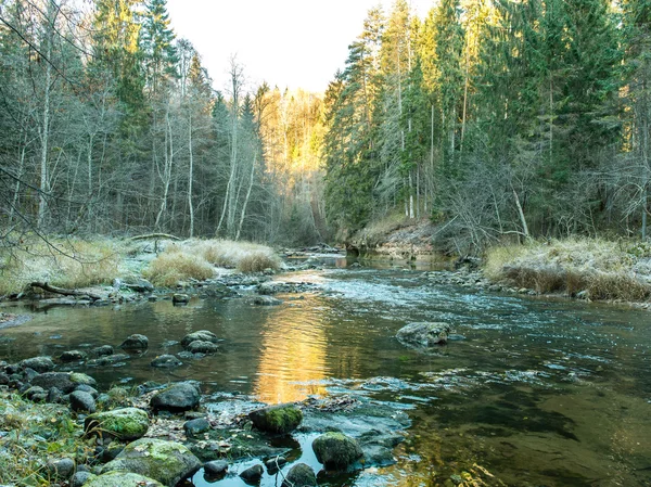 Paysage avec des arbres de montagne et une rivière en face — Photo