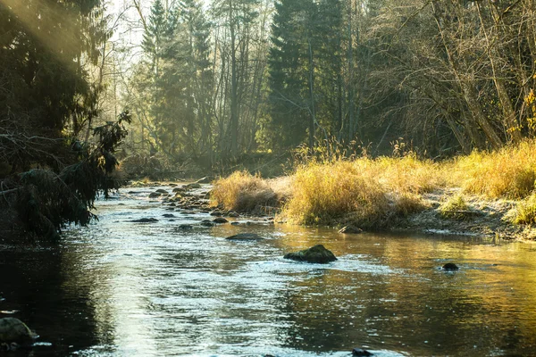 Krajina se stromy hory a řeky vpředu — Stock fotografie