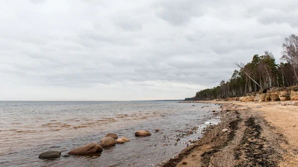 Playa rocosa de otoño con olas estrellándose en las rocas — Foto de Stock