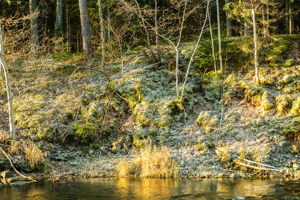 Paisaje con árboles de montaña y un río en frente —  Fotos de Stock