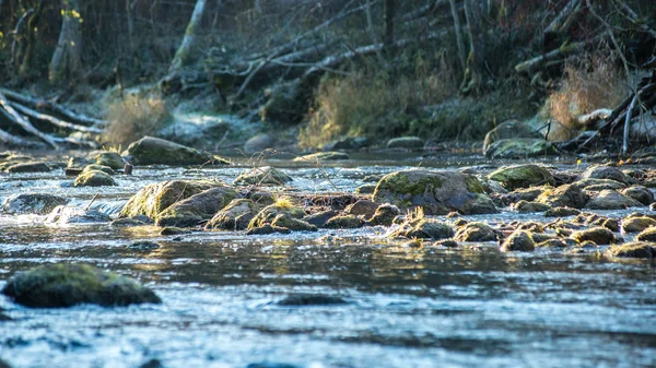 Táj a hegyek fák és egy folyó elöl — Stock Fotó