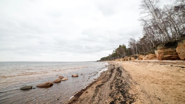 Höstens klippstrand med vågorna kraschar på klipporna — Stockfoto