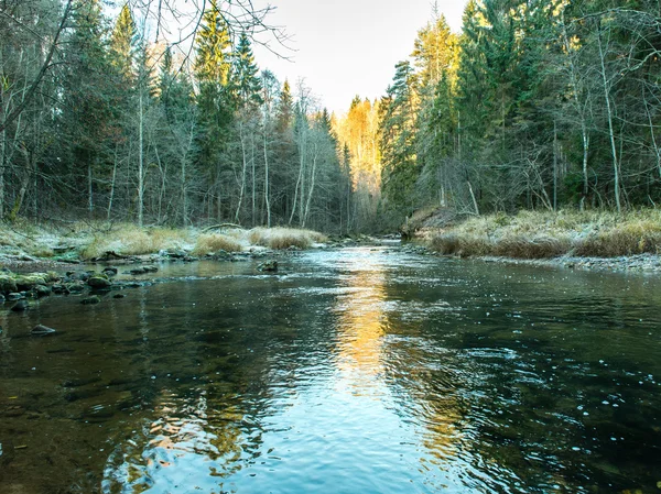 Paysage avec des arbres de montagne et une rivière en face — Photo