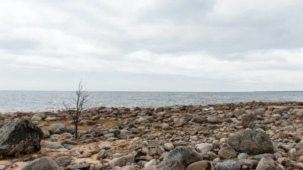 Felsiger Herbststrand mit Wellen, die auf die Felsen krachen — Stockfoto