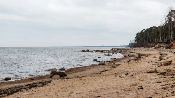 Höstens klippstrand med vågorna kraschar på klipporna — Stockfoto