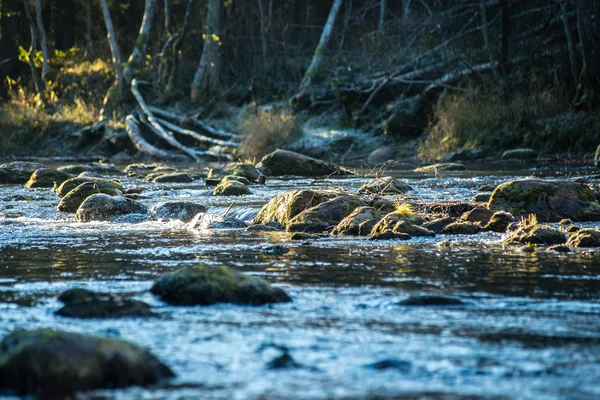 Yatay, dağlar, ağaçlar ve Nehri ön — Stok fotoğraf