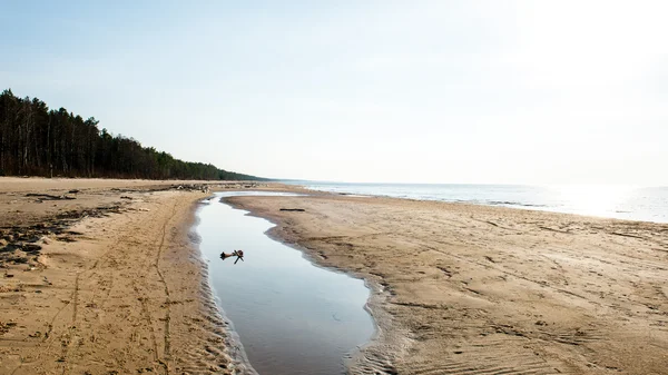 Se connecter sur la plage (Mise au point sélective ) — Photo