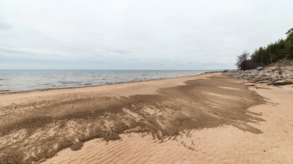 Скелястий осінній пляж з хвилями розбився на скелях — стокове фото