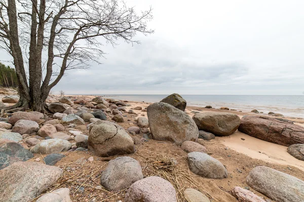 Őszi, sziklás strand található a hullámok összeomlik a sziklákon — Stock Fotó