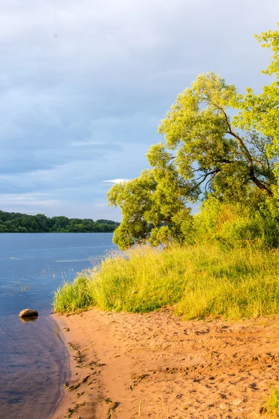 Пейзаж з гірськими деревами і річкою попереду — стокове фото