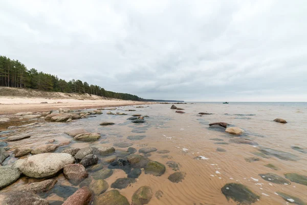 Őszi, sziklás strand található a hullámok összeomlik a sziklákon — Stock Fotó