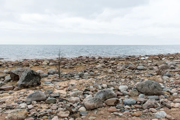 Plage d'automne rocheuse avec vagues s'écrasant sur les rochers — Photo